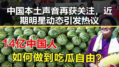 中国本土声音再获关注，近期明星动态引发热议
