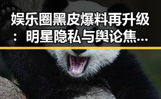 娱乐圈黑皮爆料再升级：明星隐私与舆论焦点的交错