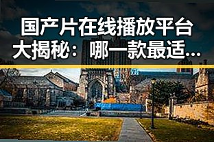 国产片在线播放平台大揭秘：哪一款最适合你？🎬