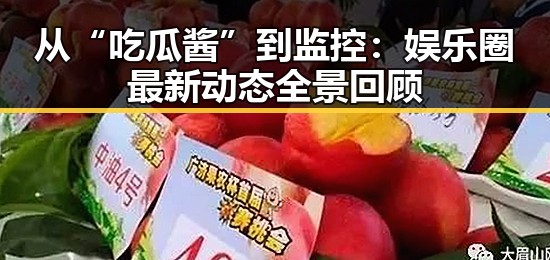 从“吃瓜酱”到监控:娱乐圈最新动态全景回顾